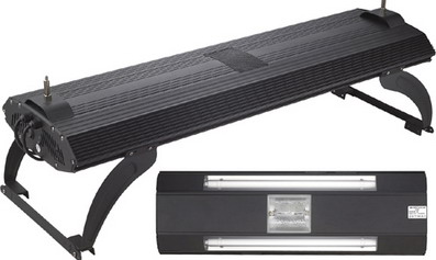HQI or Metal Halide Lighting