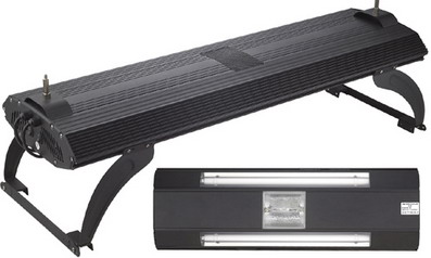 HQI or Metal Halide Lighting