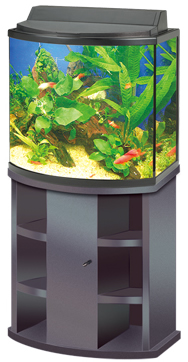 Aquariums