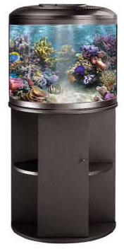 AQUARIUM
