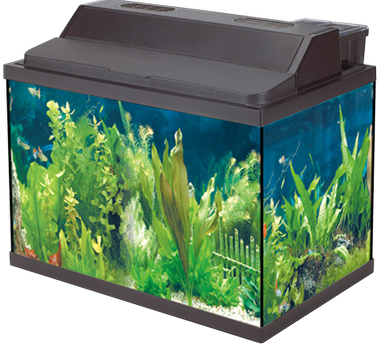 MARINE AQUARIUM